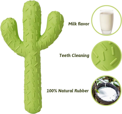 Dog Chew Toys for Aggressive Chewers, Durable Rubber Cactus Tough Toys for Training and Cleaning Teeth, Interactive Dog Toys for Small/Medium Dog